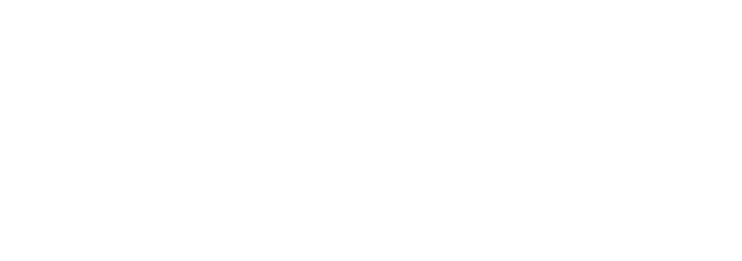 Pluggo